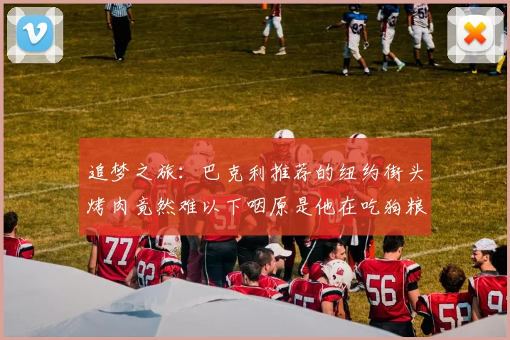 追梦之旅：巴克利推荐的纽约街头烤肉竟然难以下咽原是他在吃狗粮