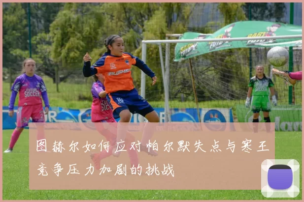 图赫尔如何应对帕尔默失点与寒王竞争压力加剧的挑战