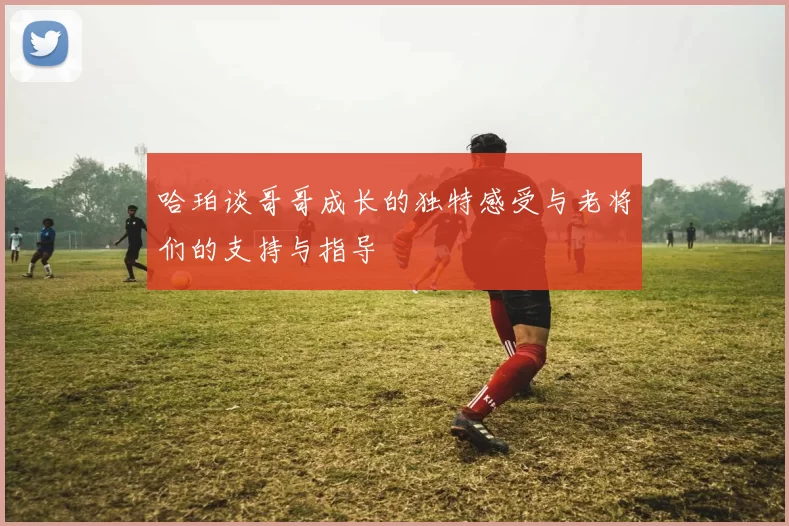 哈珀谈哥哥成长的独特感受与老将们的支持与指导